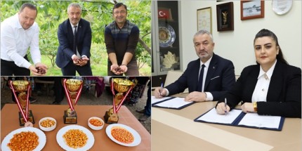 Nebiyan Markalaşma Yolunda